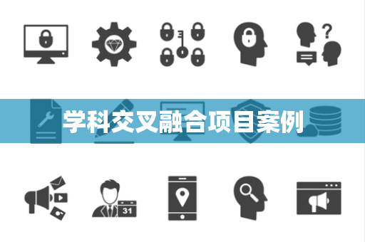 学科交叉融合项目案例
