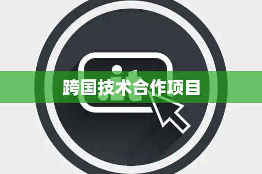 跨国技术合作项目