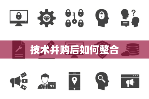 技术并购后如何整合