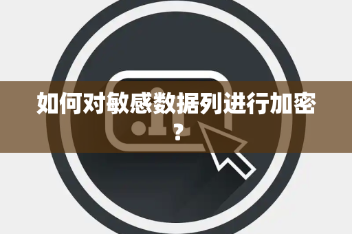 如何对敏感数据列进行加密？
