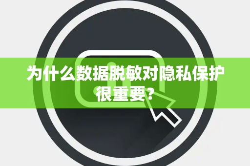 为什么数据脱敏对隐私保护很重要？