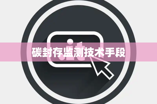碳封存监测技术手段