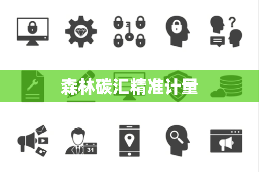 森林碳汇精准计量