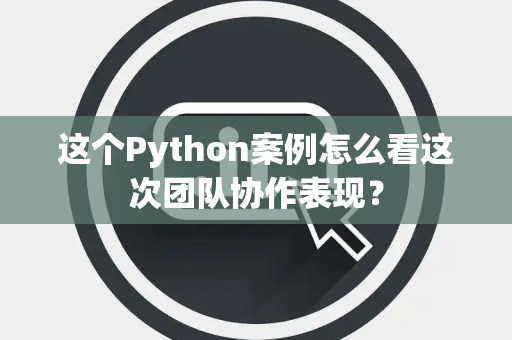 这个Python案例怎么看这次团队协作表现？