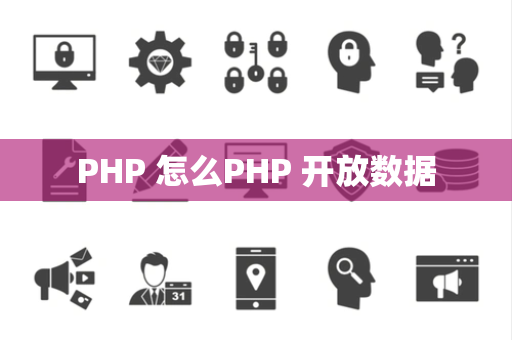 PHP 怎么PHP 开放数据