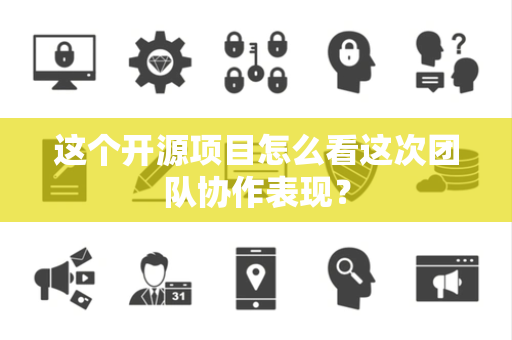 这个开源项目怎么看这次团队协作表现？