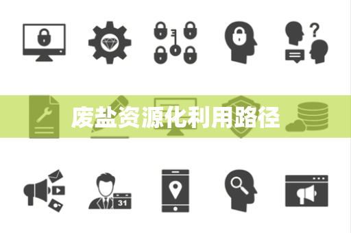 废盐资源化利用路径