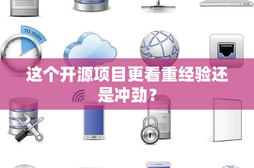 这个开源项目更看重经验还是冲劲？