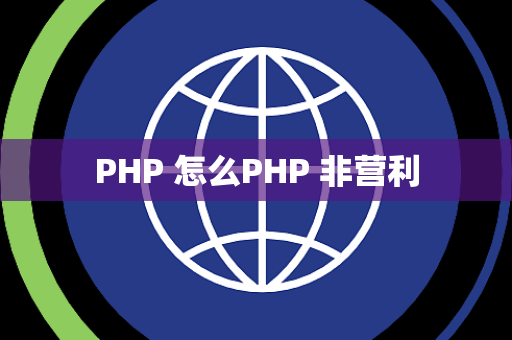 PHP 怎么PHP 非营利