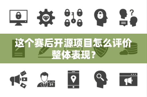这个赛后开源项目怎么评价整体表现？