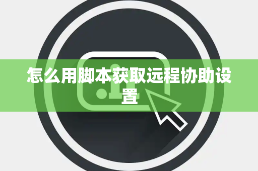 怎么用脚本获取远程协助设置