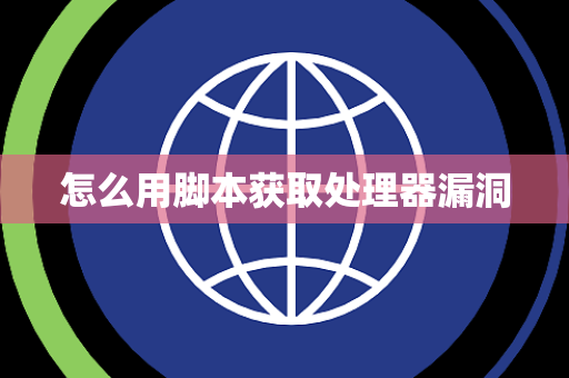 怎么用脚本获取处理器漏洞