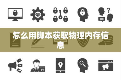 怎么用脚本获取物理内存信息