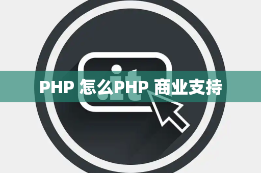 PHP 怎么PHP 商业支持