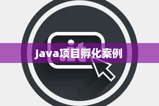 Java项目孵化案例