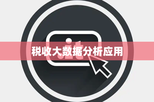 税收大数据分析应用