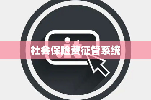 社会保险费征管系统