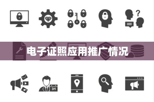 电子证照应用推广情况