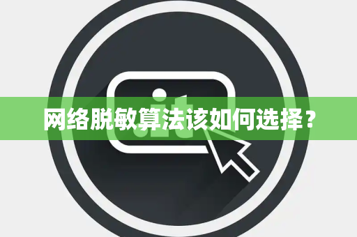 网络脱敏算法该如何选择？