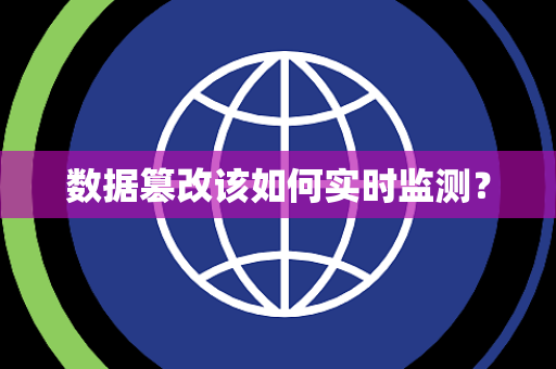 数据篡改该如何实时监测？