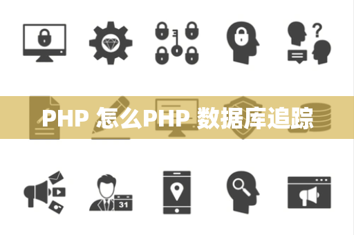 PHP 怎么PHP 数据库追踪