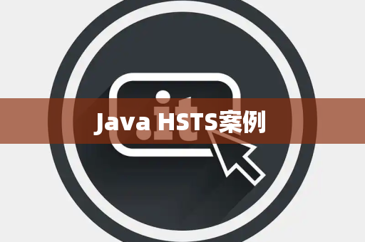 Java HSTS案例