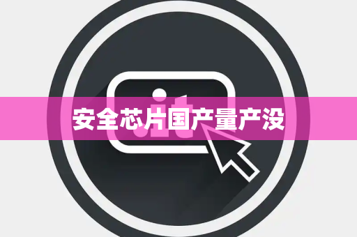 安全芯片国产量产没