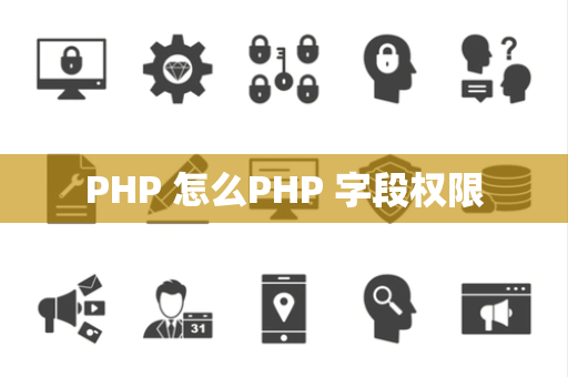 PHP 怎么PHP 字段权限