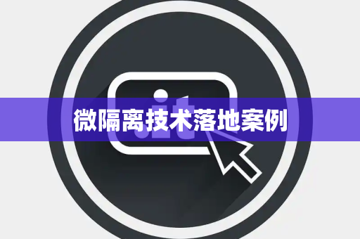 微隔离技术落地案例