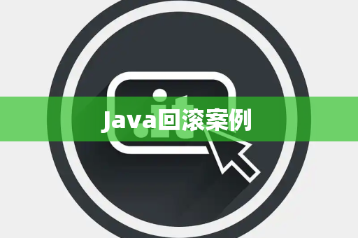 Java回滚案例