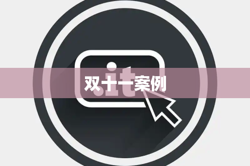 双十一案例
