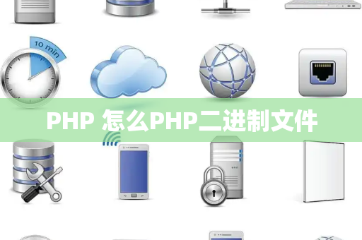 PHP 怎么PHP二进制文件