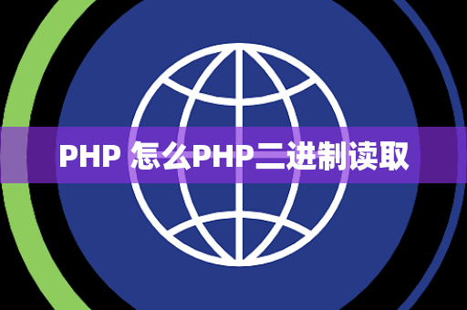PHP 怎么PHP二进制读取