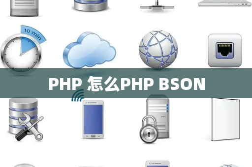 PHP 怎么PHP BSON