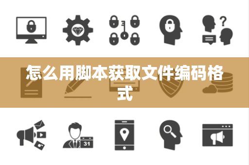 怎么用脚本获取文件编码格式