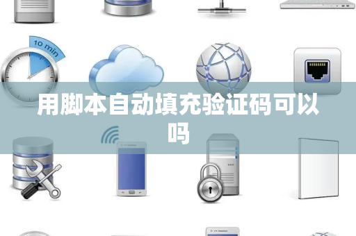 用脚本自动填充验证码可以吗