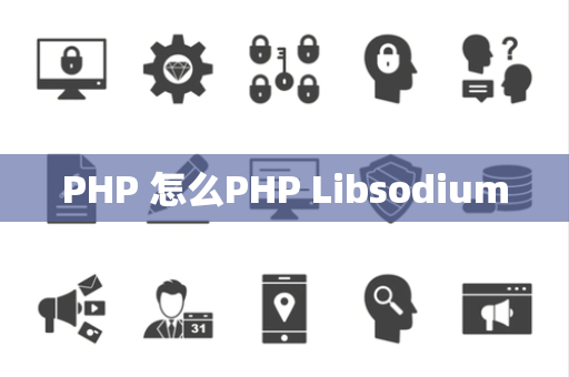 PHP 怎么PHP Libsodium