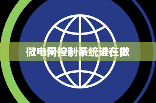微电网控制系统谁在做