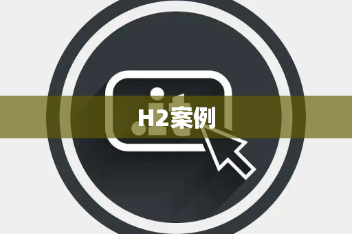 H2案例
