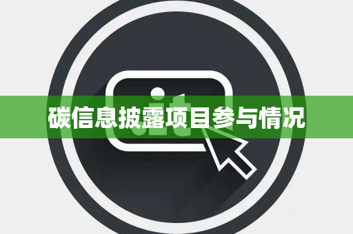 碳信息披露项目参与情况