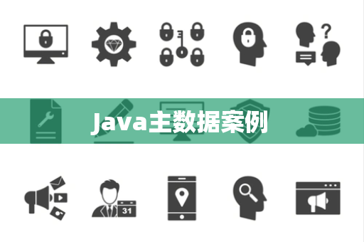 Java主数据案例