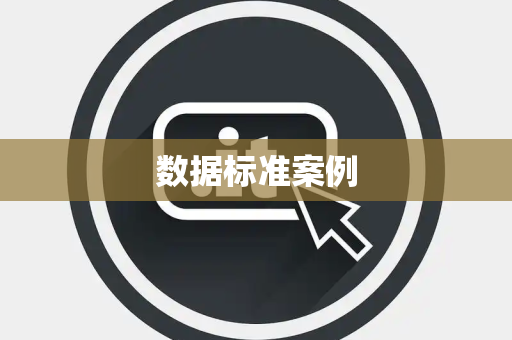 数据标准案例