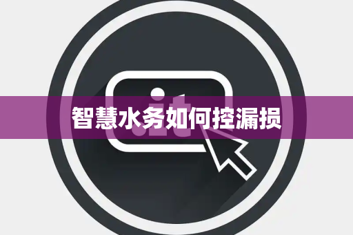 智慧水务如何控漏损