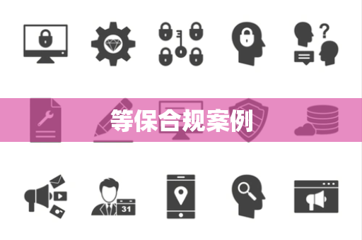 等保合规案例