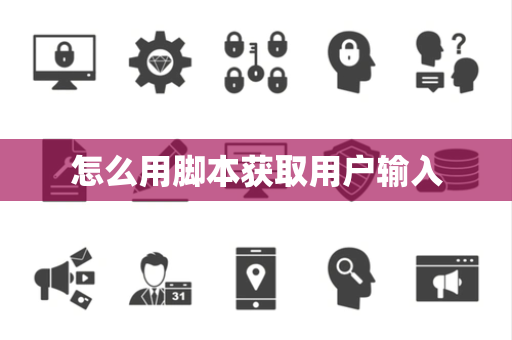 怎么用脚本获取用户输入
