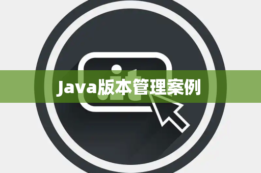 Java版本管理案例
