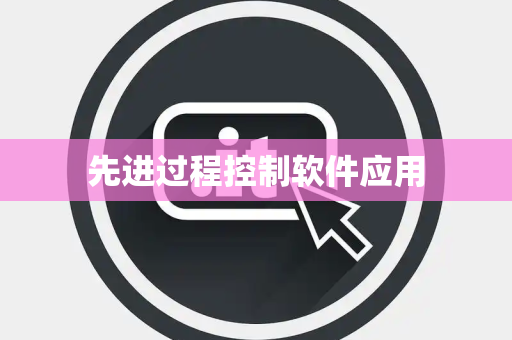 先进过程控制软件应用