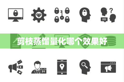 剪枝蒸馏量化哪个效果好