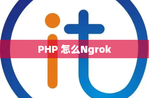 PHP 怎么Ngrok