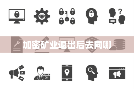 加密矿业退出后去向哪